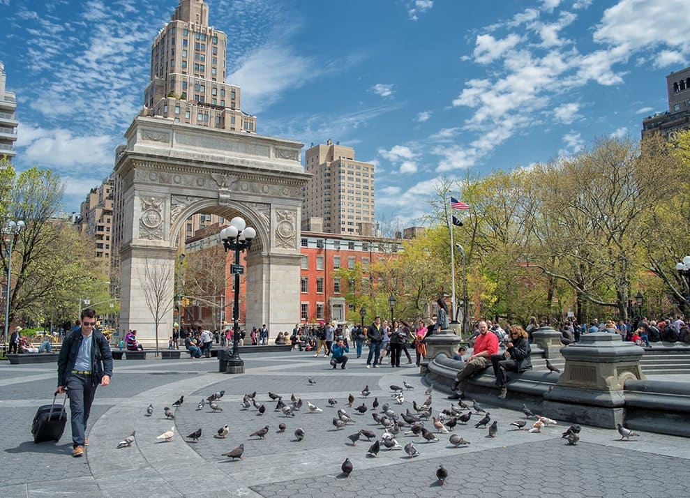 Protect Your Property From a Bird Problem