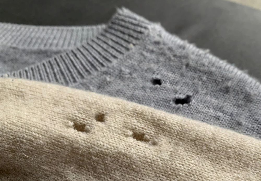 How to Tell if Your Clothes Have Moth Damage